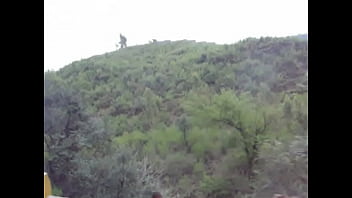 Unknown - 2025 - Wild - Session - Video 6332856