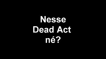 Fake, Jesus, Dj, Luz - Unknown - 2025 - Incredible - Experience - Video 6519020