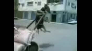 Unknown - 2025 - Intense - Scene - Video 6533964