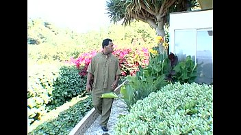 Metro - Black Carnal Coeds 13 - Full Movie