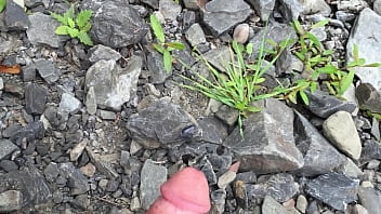 Cumming By A Mountain Stream