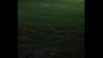 trim.D8320414-740D-4B02-BAC6-842CF16B2FCF