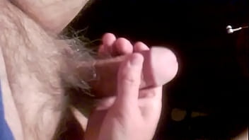 Wp Le Gustan Las Morritas