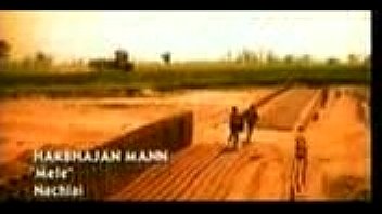 Unknown - 2025 - Wild - Experience - Video 6511541