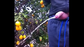 Gay, Boa, Uma, Mijada - Gay - 2025 - Passionate - Scene - Video 5731902