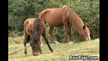 Latino Gay Fucking Ass Hole And Sucking Deepthroat