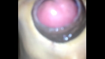 Punhetando Gostoso - cock, masturbation, gay, punheta, soloboy, vadia, passivo - Video 5615512