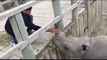 12011960 913650942003355 1210259630 n