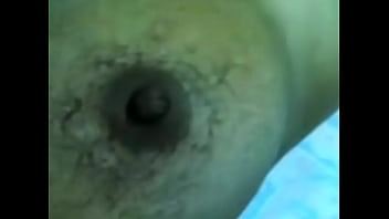 Hirsute-broad Treasure