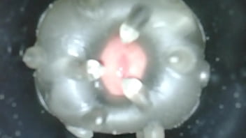 Inside View Of A Fleshlight Flight Solo Fuck