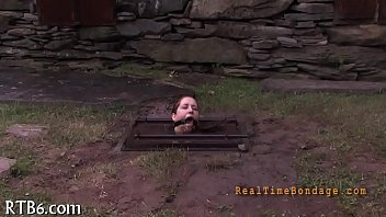 Unknown - 2025 - Wild - Experience - Video 5615687