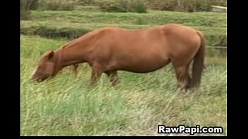 Cute Latino Gay Loves Hardcore Bareback - anal, blowjob, gay - Video 5682065