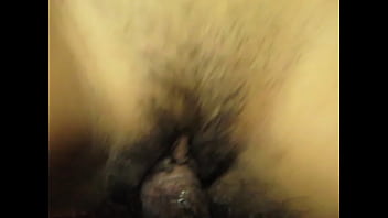 3, Nena, Peludita - Unknown - 2025 - Wild - Show - Video 5451235