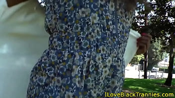 Ebony Tgirl China In Stockings Jerking