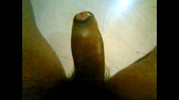 Indian Wet Penis