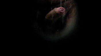 Caminhoneiro Picudo Grupo