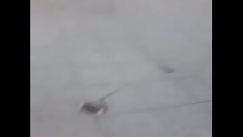 Minha Irmã Se Masturbando No Banheiro Kkk Zoei Muito Ela