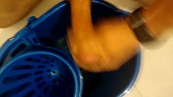 Gran Corrida De Polla Pequeña _dog Cum_