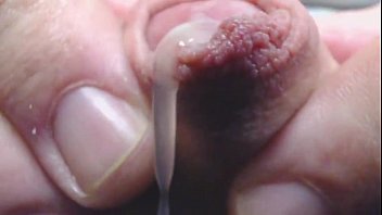 Tirando Leite Do Pau Meia Bomba