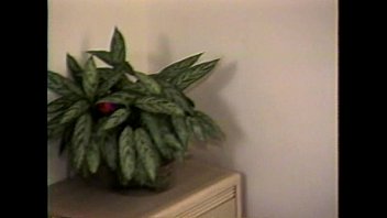 LBO - Mr Peepers Nastiest Vol7 - scene 2