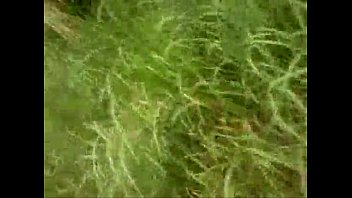 xvideos.com ac5203136ea0941229685bbb7515bedb