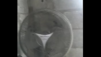 Da, Bom, Muito, Esta, Trabalho, Ventilador - Unknown - 2025 - Wild - Performance - Video 5519941