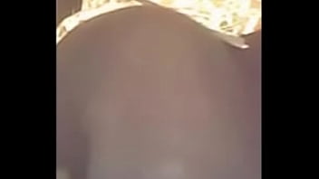 Rabazo De Chibola En Cabina De Internet.