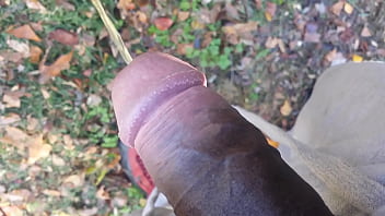 At Work Pissing Showing My Dick To The Neighbor Across The Street