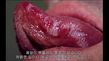 A.Girl'.Guide.To.21st.Century.Sex.5