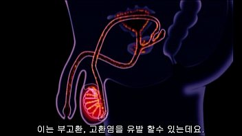 A.Girl'.Guide.To.21st.Century.Sex.1