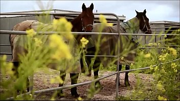 Girls, Sexy, Cuties, Fetish, Dance, Music, Box, Glamour - Sexy - 2025 - Intense - Performance - Video 5490585