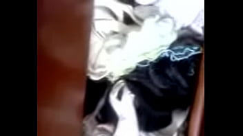 Cajon De Tangas De La Mama De Mi Amigo