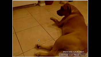 Wife More Redhead Webcam: Free Close-up Porn Video Ac Wow Adorable