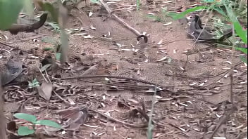 Kamala Aunty Phone Lo Srungaram With Neighbour Telugu Phone Talk Talk Telugu Mu Low