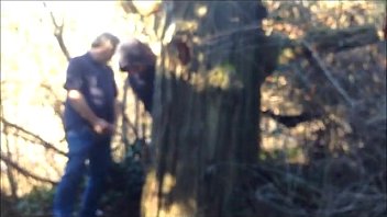 Pega__o Entre Machos Na Floresta