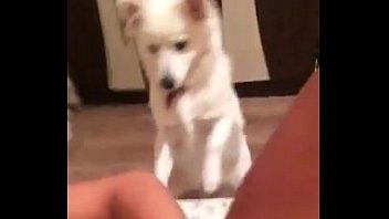 Com 55345 Alexa Iliuta 18 Ani Studenta Din Iasi Anal Masturbeaza