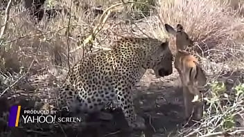 9375trimmed-000-f7333a74-596a-4a97-b3b2-fb6920ee29bf pFHvODgnCJCy-KPnOdKkcZ XlFxaHfrtOG3HePWCiBvjK1p