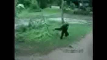 Unknown - 2025 - Incredible - Scene - Video 6494161