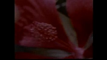 3 Lesbians Fucking All Together