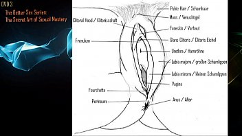 Wir Werden Ihnen Helfen Ihr Sex Leben Bedeutend Zu Verbessern. Seriös, Professio