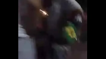 Culo De Carnaval