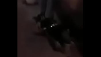 Colombiana, Publico - Unknown - 2025 - Wild - Show - Video 5410916