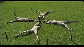 Brunette Delicious Babe Tied Like Hog