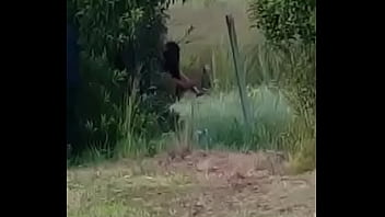 Argentina, Cogida Detras De Planta