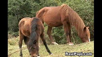 Anal Pounding Of Two Hot And Sexy Latinos