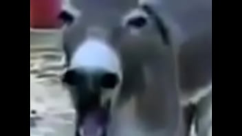 Hairy, Vagina - Unknown - 2025 - Wild - Session - Video 5440610