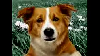 Unknown - 2025 - Amazing - Scene - Video 6489822