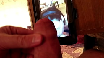 Lions And Foxes Tribute