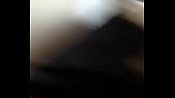 Auckland, Newzealand - Unknown - 2025 - Amazing - Experience - Video 5431126