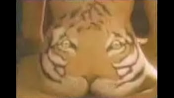 Tiger, Feeding - Unknown - 2025 - Hot - Experience - Video 5429322